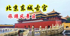 大鸡巴肆意肏翻丝袜肥臀小说中国北京-东城古宫旅游风景区